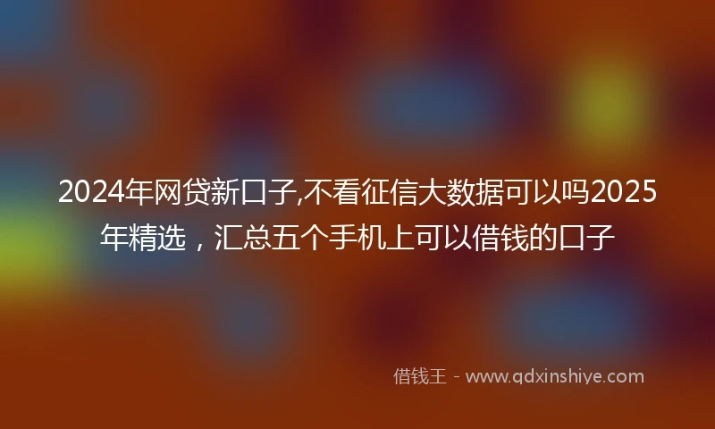 2024年网贷新口子,不看征信大数据可以吗2025年精选，汇总五个手机上可以借钱的口子
