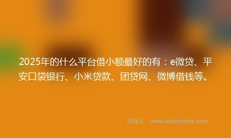 2025年的什么平台借小额最好的有：e微贷、平安口袋银行、小米贷款、团贷网、微博借钱等。