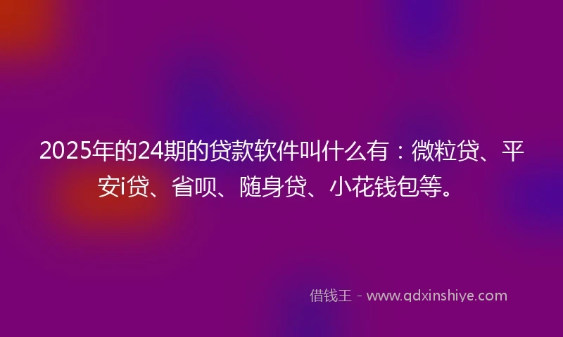 2025年的24期的贷款软件叫什么有：微粒贷、平安i贷、省呗、随身贷、小花钱包等。