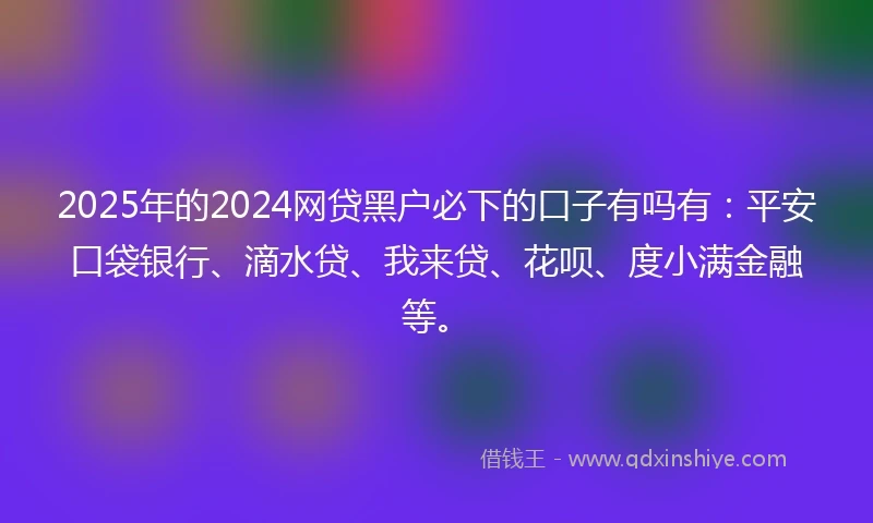 2025年的2024网贷黑户必下的口子有吗有：平安口袋银行、滴水贷、我来贷、花呗、度小满金融等。