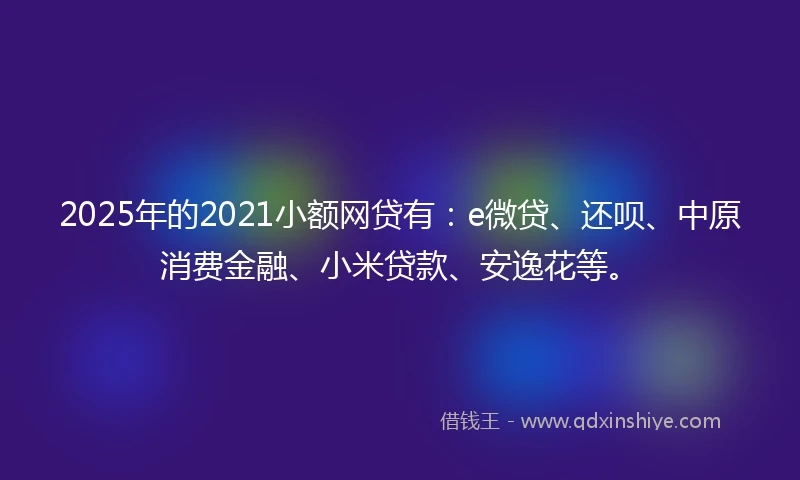 2025年的2021小额网贷有：e微贷、还呗、中原消费金融、小米贷款、安逸花等。