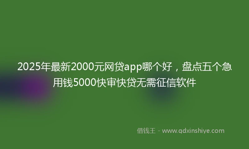 2025年最新2000元网贷app哪个好，盘点五个急用钱5000快审快贷无需征信软件
