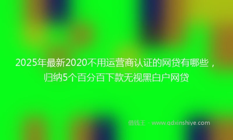 2025年最新2020不用运营商认证的网贷有哪些，归纳5个百分百下款无视黑白户网贷