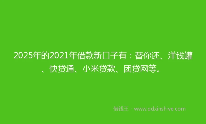 2025年的2021年借款新口子有：替你还、洋钱罐、快贷通、小米贷款、团贷网等。