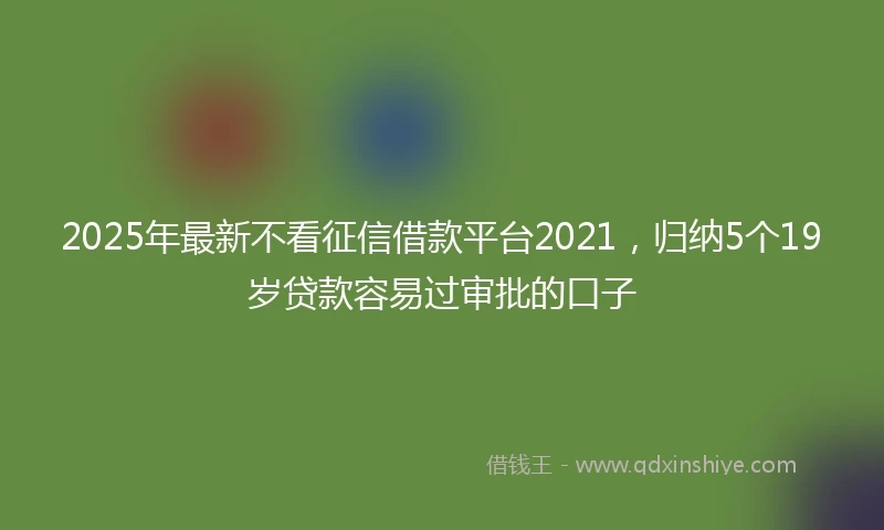 2025年最新不看征信借款平台2021，归纳5个19岁贷款容易过审批的口子