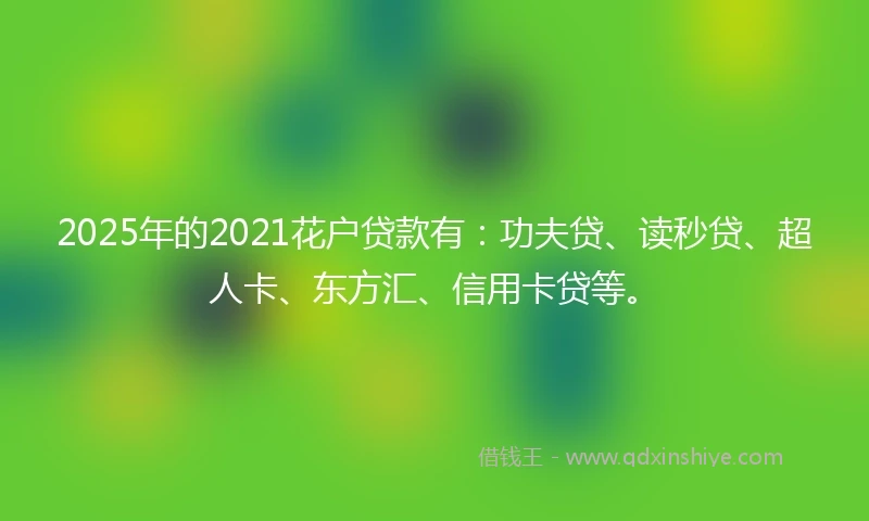 2025年的2021花户贷款有：功夫贷、读秒贷、超人卡、东方汇、信用卡贷等。