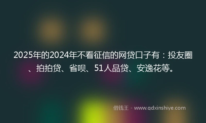 2025年的2024年不看征信的网贷口子有：投友圈、拍拍贷、省呗、51人品贷、安逸花等。