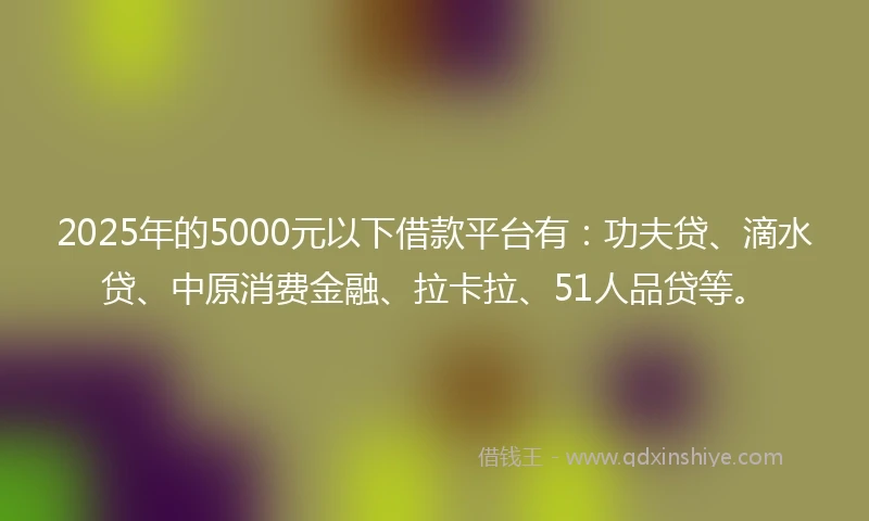 2025年的5000元以下借款平台有：功夫贷、滴水贷、中原消费金融、拉卡拉、51人品贷等。