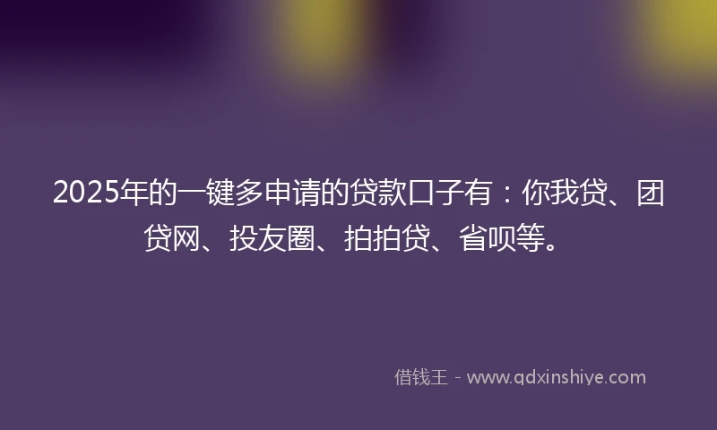 2025年的一键多申请的贷款口子有：你我贷、团贷网、投友圈、拍拍贷、省呗等。