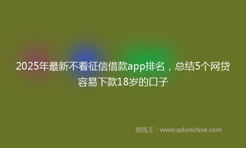 2025年最新不看征信借款app排名，总结5个网贷容易下款18岁的口子