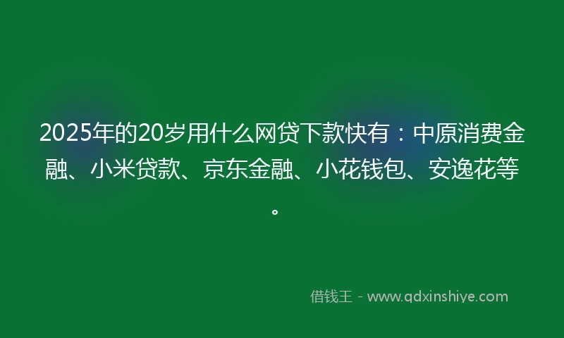2025年的20岁用什么网贷下款快有：中原消费金融、小米贷款、京东金融、小花钱包、安逸花等。