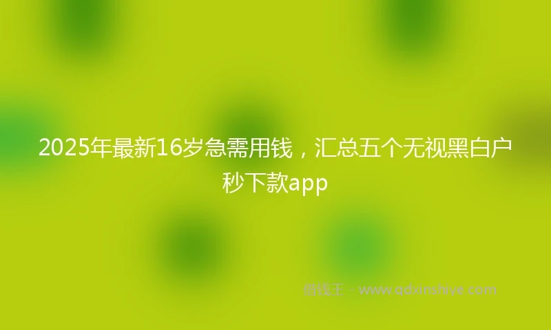2025年最新16岁急需用钱，汇总五个无视黑白户秒下款app
