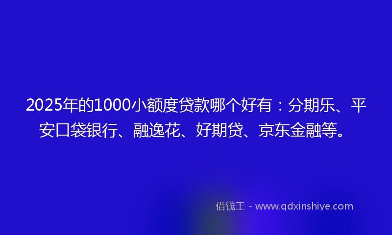 2025年的1000小额度贷款哪个好有：分期乐、平安口袋银行、融逸花、好期贷、京东金融等。