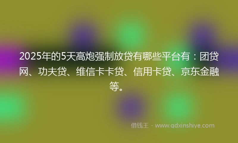 2025年的5天高炮强制放贷有哪些平台有：团贷网、功夫贷、维信卡卡贷、信用卡贷、京东金融等。