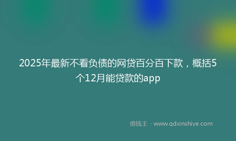 2025年最新不看负债的网贷百分百下款，概括5个12月能贷款的app
