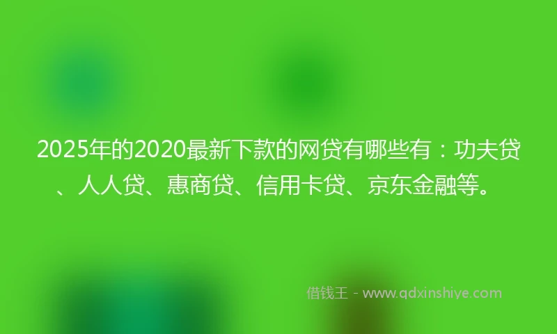 2025年的2020最新下款的网贷有哪些有：功夫贷、人人贷、惠商贷、信用卡贷、京东金融等。