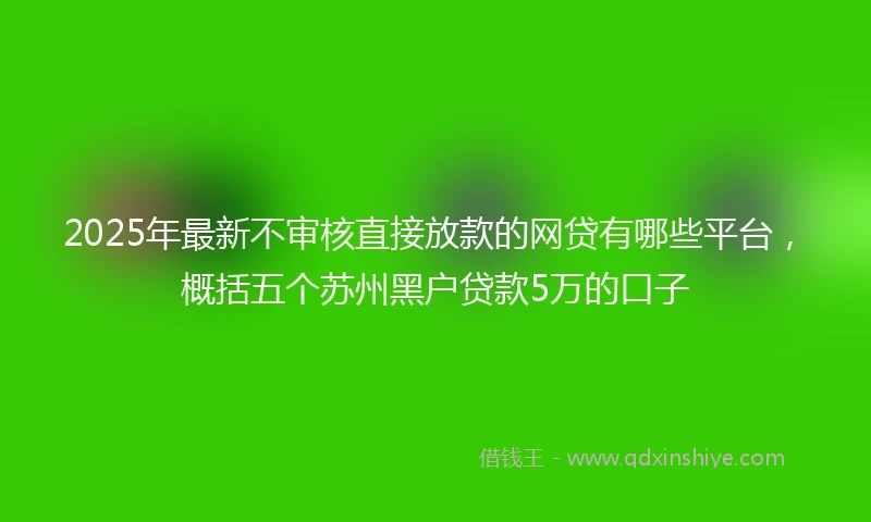 2025年最新不审核直接放款的网贷有哪些平台，概括五个苏州黑户贷款5万的口子