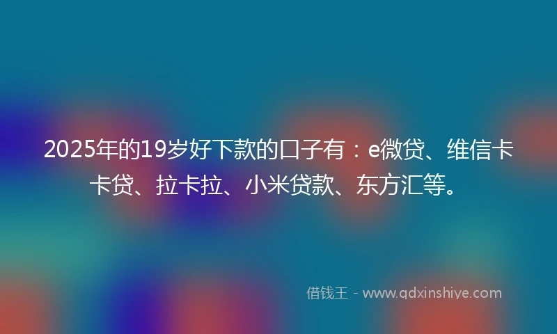 2025年的19岁好下款的口子有：e微贷、维信卡卡贷、拉卡拉、小米贷款、东方汇等。