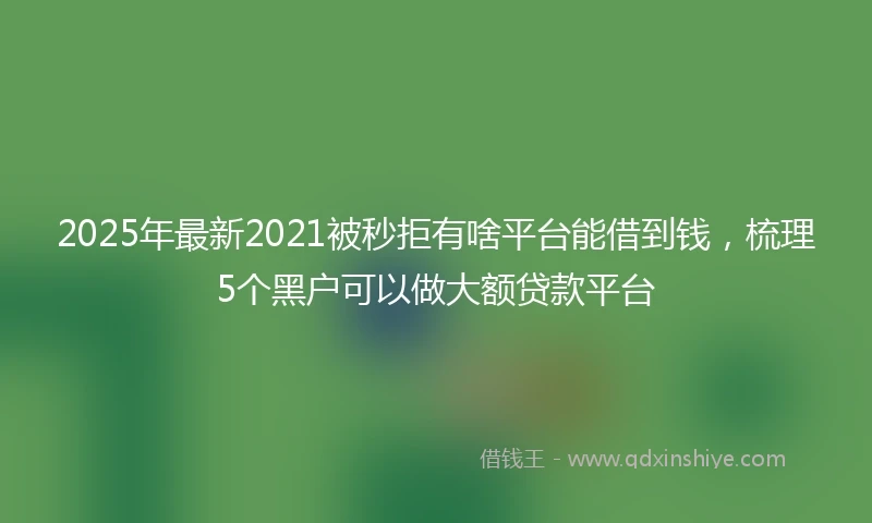 2025年最新2021被秒拒有啥平台能借到钱，梳理5个黑户可以做大额贷款平台