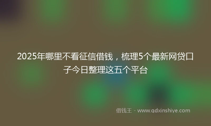 2025年哪里不看征信借钱，梳理5个最新网贷口子今日整理这五个平台