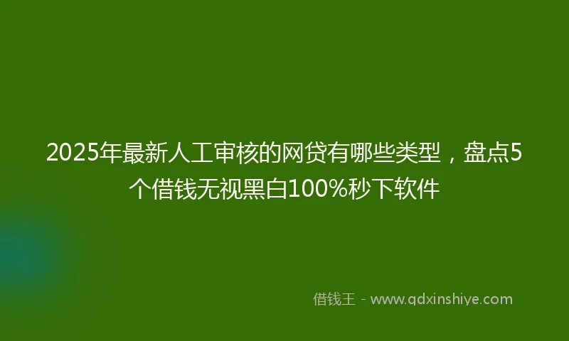 2025年最新人工审核的网贷有哪些类型，盘点5个借钱无视黑白100%秒下软件