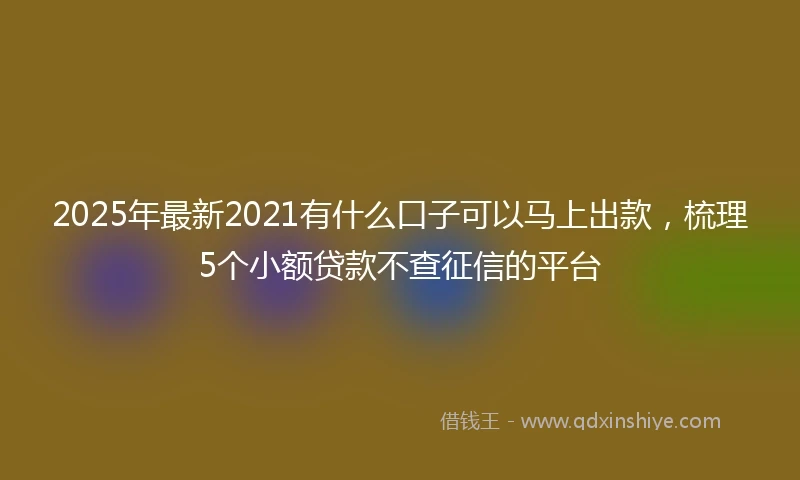 2025年最新2021有什么口子可以马上出款，梳理5个小额贷款不查征信的平台
