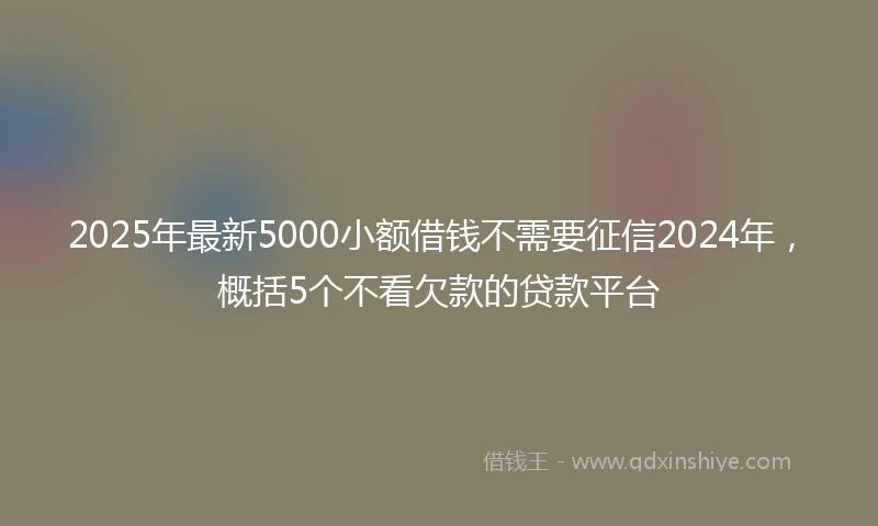 2025年最新5000小额借钱不需要征信2024年，概括5个不看欠款的贷款平台