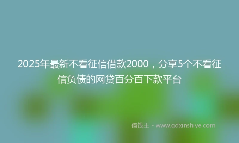 2025年最新不看征信借款2000，分享5个不看征信负债的网贷百分百下款平台