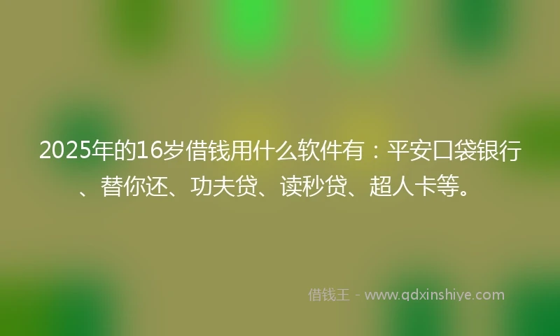 2025年的16岁借钱用什么软件有：平安口袋银行、替你还、功夫贷、读秒贷、超人卡等。
