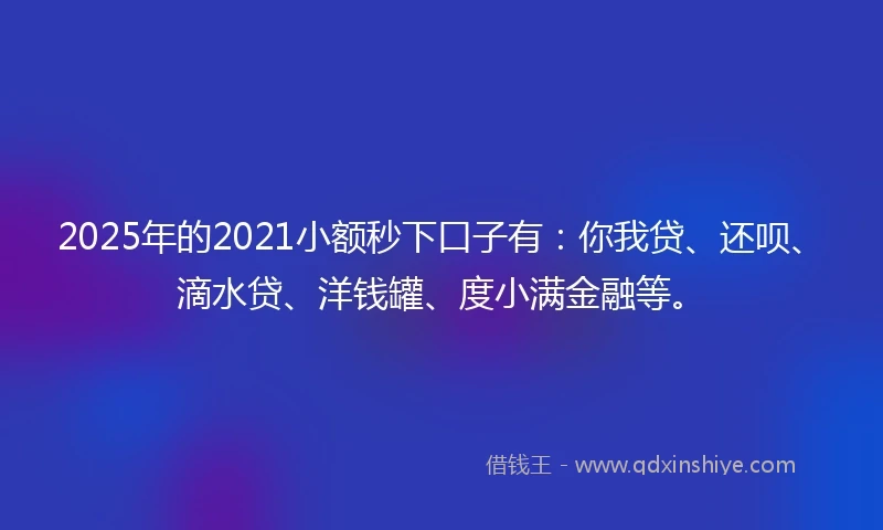2025年的2021小额秒下口子有：你我贷、还呗、滴水贷、洋钱罐、度小满金融等。