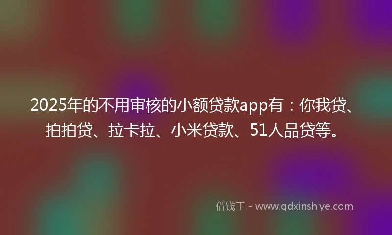 2025年的不用审核的小额贷款app有：你我贷、拍拍贷、拉卡拉、小米贷款、51人品贷等。
