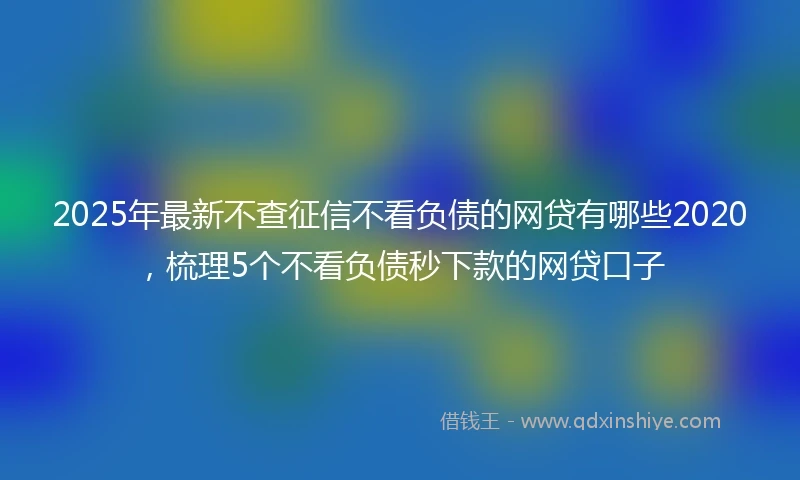 2025年最新不查征信不看负债的网贷有哪些2020，梳理5个不看负债秒下款的网贷口子