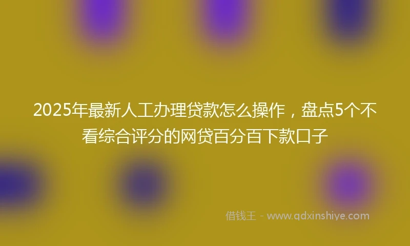 2025年最新人工办理贷款怎么操作，盘点5个不看综合评分的网贷百分百下款口子