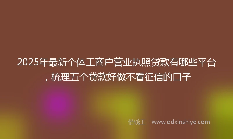 2025年最新个体工商户营业执照贷款有哪些平台，梳理五个贷款好做不看征信的口子