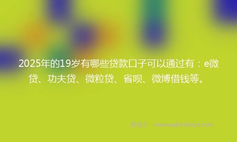 2025年的19岁有哪些贷款口子可以通过有：e微贷、功夫贷、微粒贷、省呗、微博借钱等。