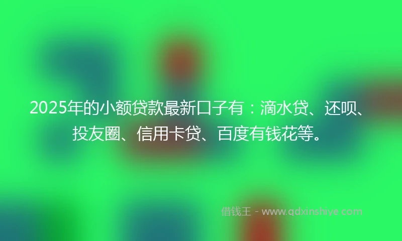 2025年的小额贷款最新口子有：滴水贷、还呗、投友圈、信用卡贷、百度有钱花等。