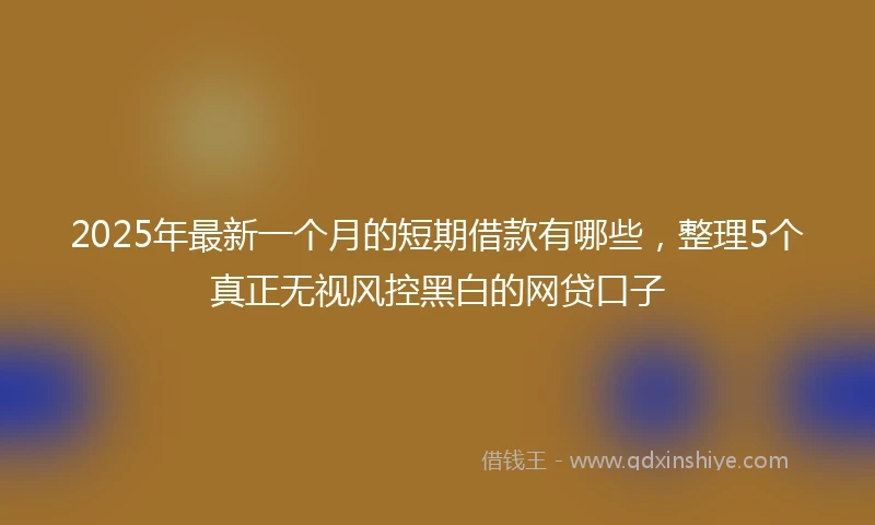 2025年最新一个月的短期借款有哪些，整理5个真正无视风控黑白的网贷口子
