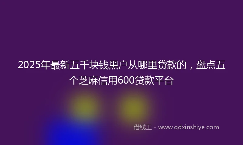 2025年最新五千块钱黑户从哪里贷款的，盘点五个芝麻信用600贷款平台