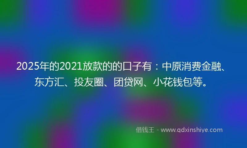 2025年的2021放款的的口子有：中原消费金融、东方汇、投友圈、团贷网、小花钱包等。