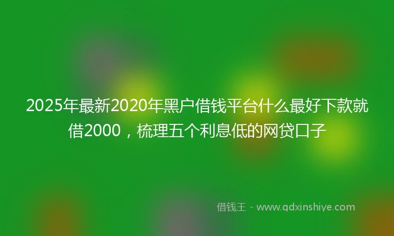 2025年最新2020年黑户借钱平台什么最好下款就借2000，梳理五个利息低的网贷口子