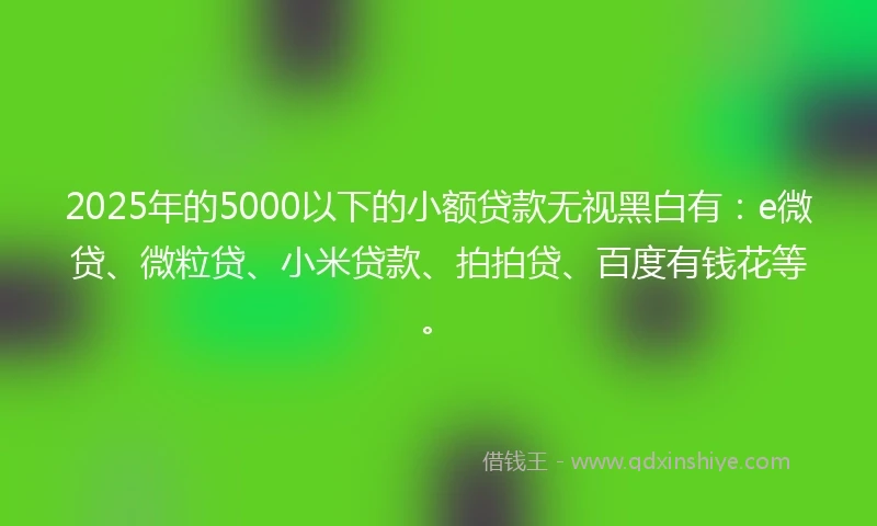 2025年的5000以下的小额贷款无视黑白有：e微贷、微粒贷、小米贷款、拍拍贷、百度有钱花等。