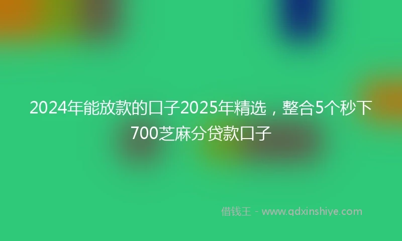2024年能放款的口子2025年精选，整合5个秒下700芝麻分贷款口子