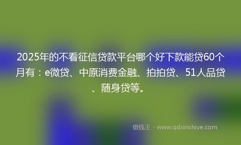 2025年的不看征信贷款平台哪个好下款能贷60个月有：e微贷、中原消费金融、拍拍贷、51人品贷、随身贷等。