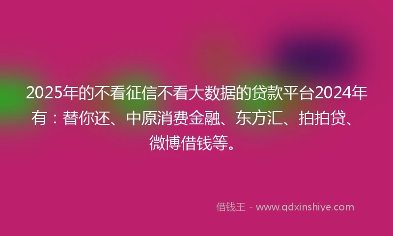 2025年的不看征信不看大数据的贷款平台2024年有：替你还、中原消费金融、东方汇、拍拍贷、微博借钱等。