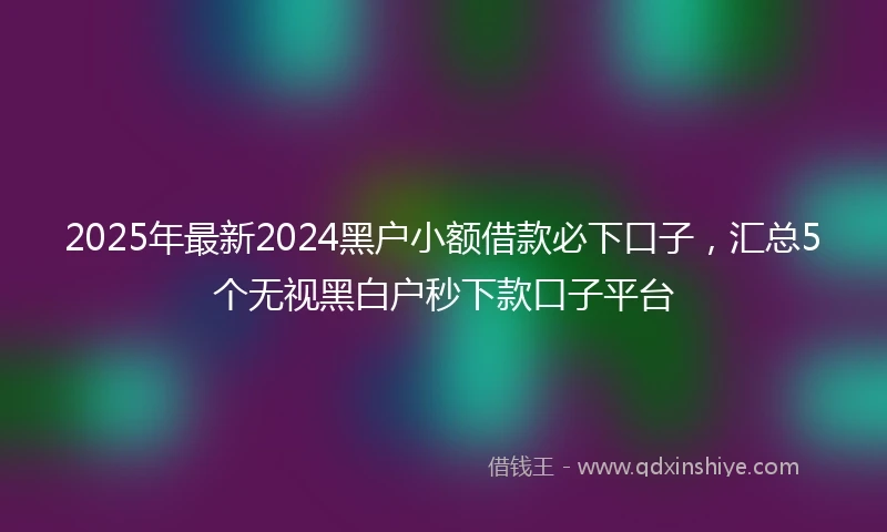 2025年最新2024黑户小额借款必下口子，汇总5个无视黑白户秒下款口子平台