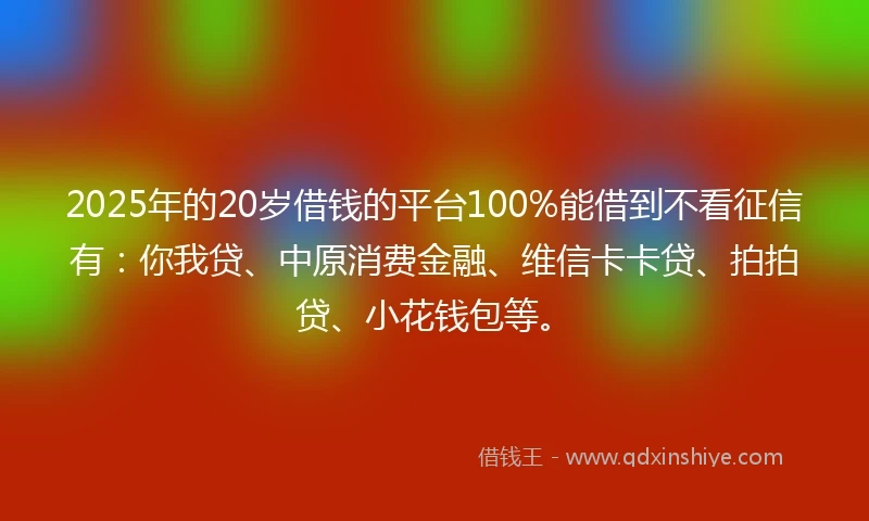 2025年的20岁借钱的平台100%能借到不看征信有：你我贷、中原消费金融、维信卡卡贷、拍拍贷、小花钱包等。
