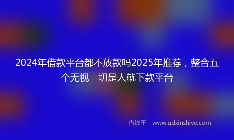 2024年借款平台都不放款吗2025年推荐，整合五个无视一切是人就下款平台