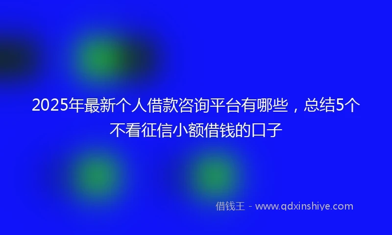2025年最新个人借款咨询平台有哪些，总结5个不看征信小额借钱的口子
