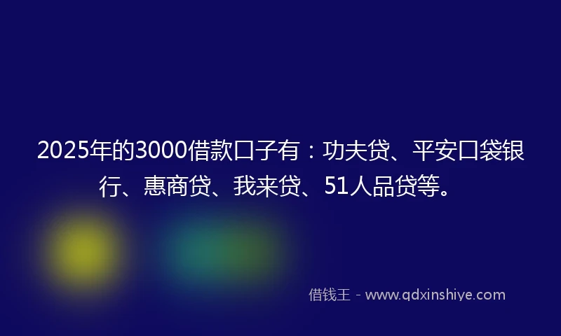 2025年的3000借款口子有：功夫贷、平安口袋银行、惠商贷、我来贷、51人品贷等。