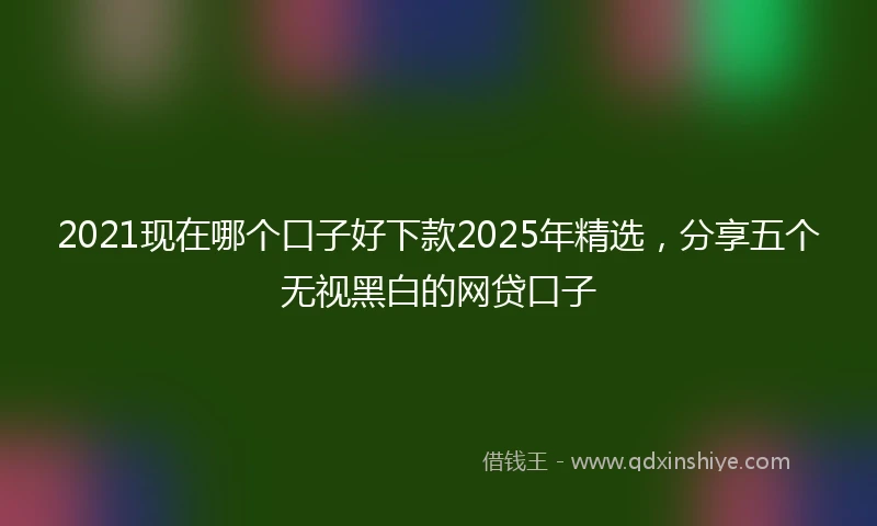 2021现在哪个口子好下款2025年精选，分享五个无视黑白的网贷口子